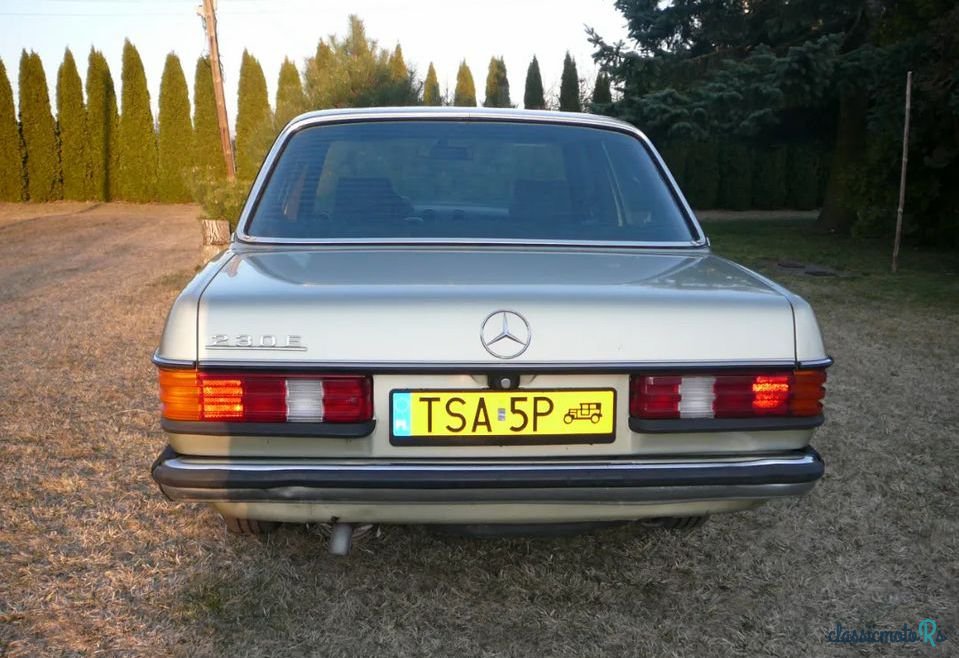 1982' Mercedes-Benz W123 photo #2