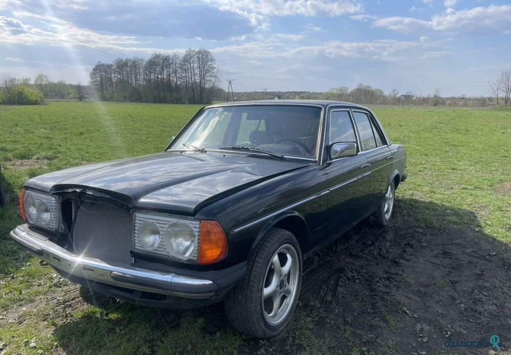 1976' Mercedes-Benz W123 photo #2