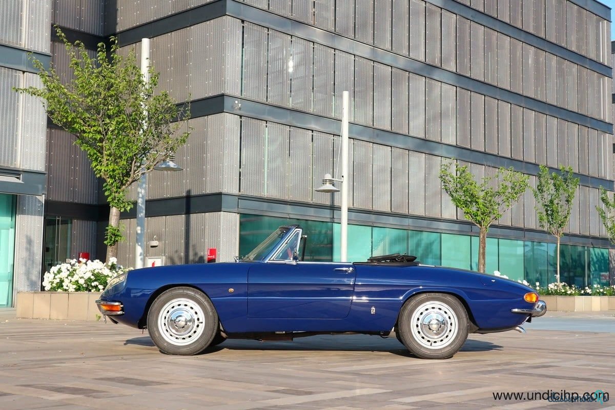 1966' Alfa Romeo Spider Duetto photo #6