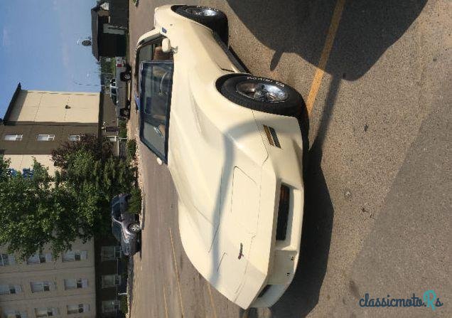 1981' Chevrolet Corvette photo #2