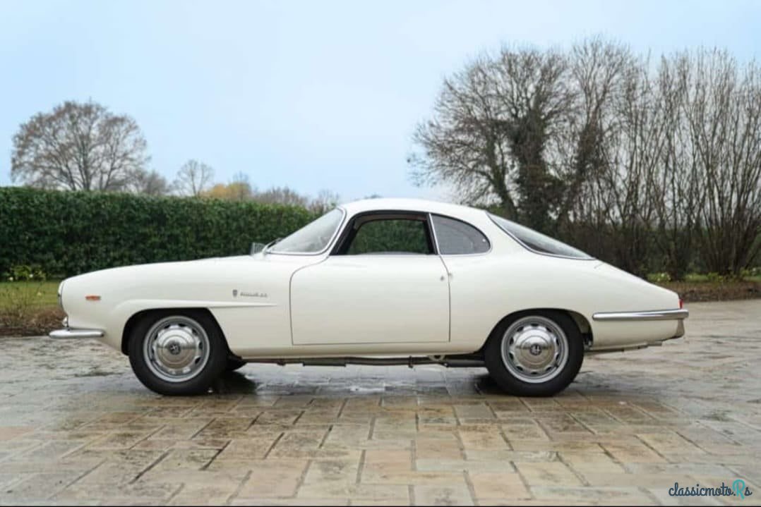 1963' Alfa Romeo Giulia photo #1