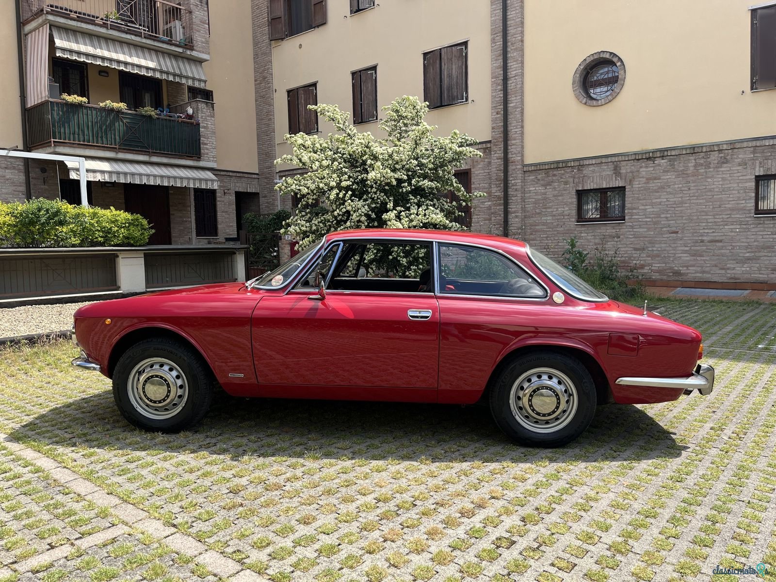 1971' Alfa Romeo 1750 Gtv photo #1