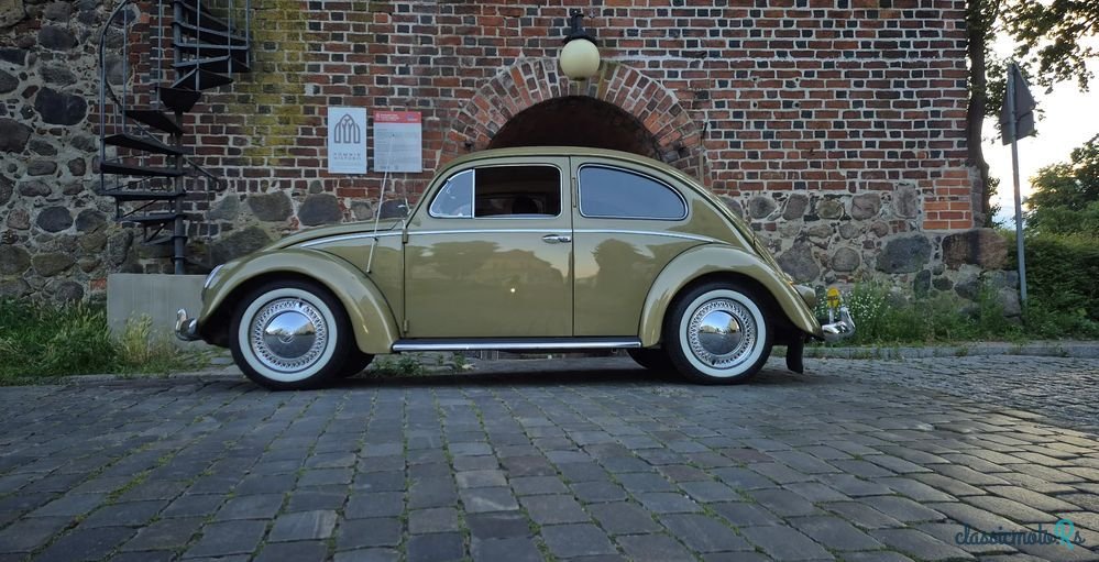 1956' Volkswagen Garbus photo #6