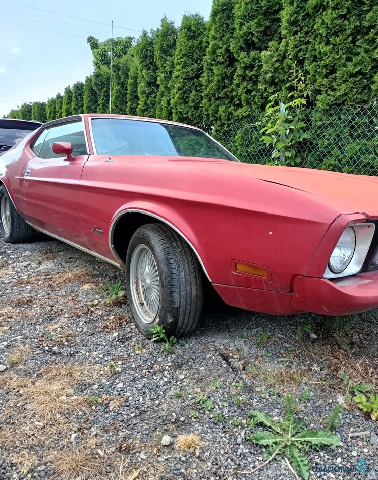 1971' Ford Mustang photo #5
