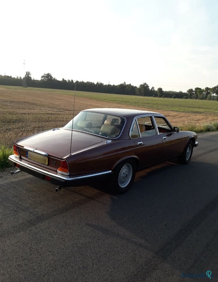 1980' Jaguar XJ photo #3