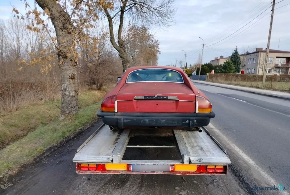1980' Jaguar XJS photo #3
