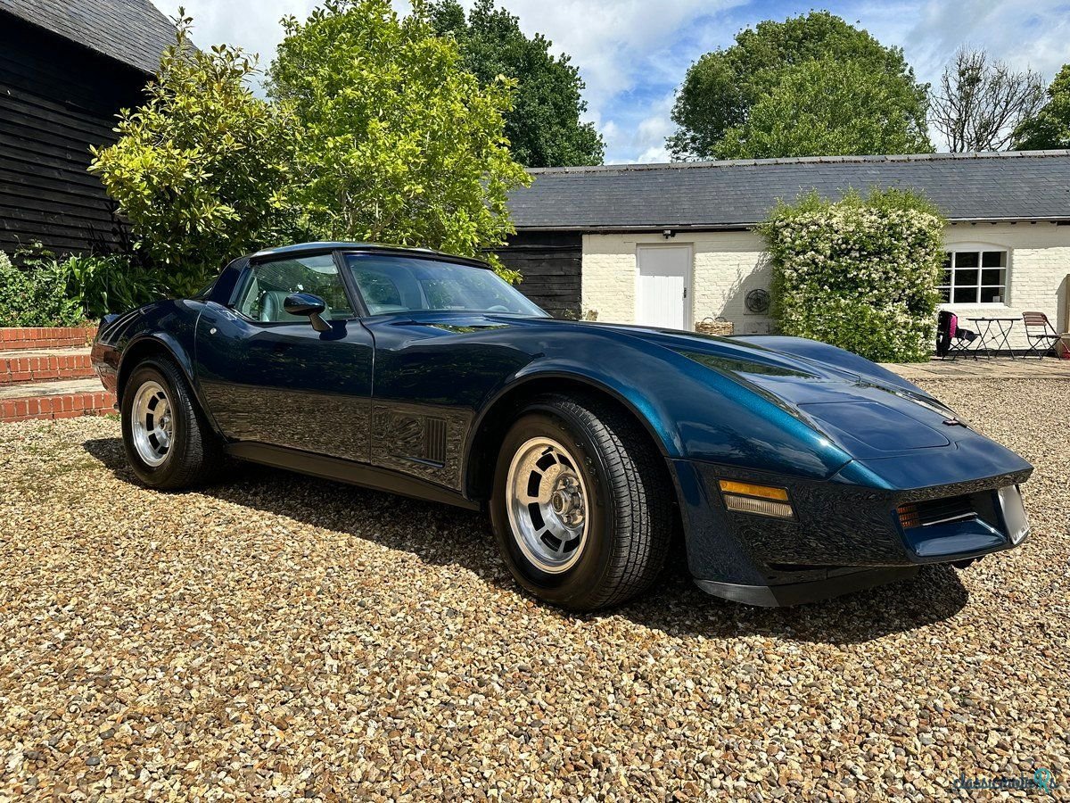 1981' Chevrolet Corvette photo #2