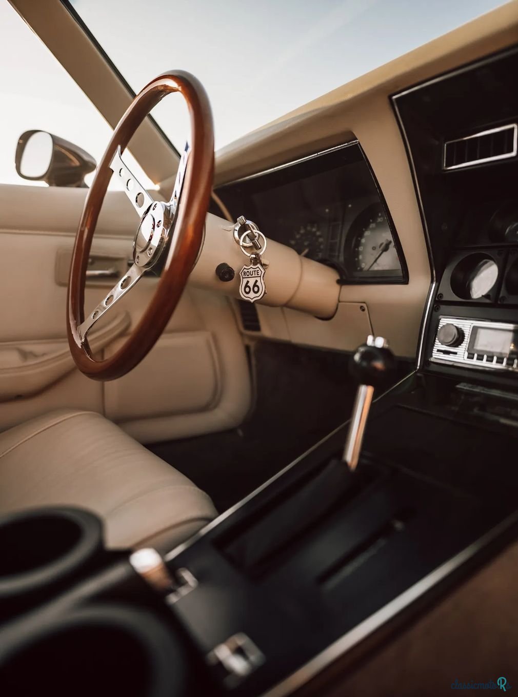 1979' Chevrolet Corvette photo #3