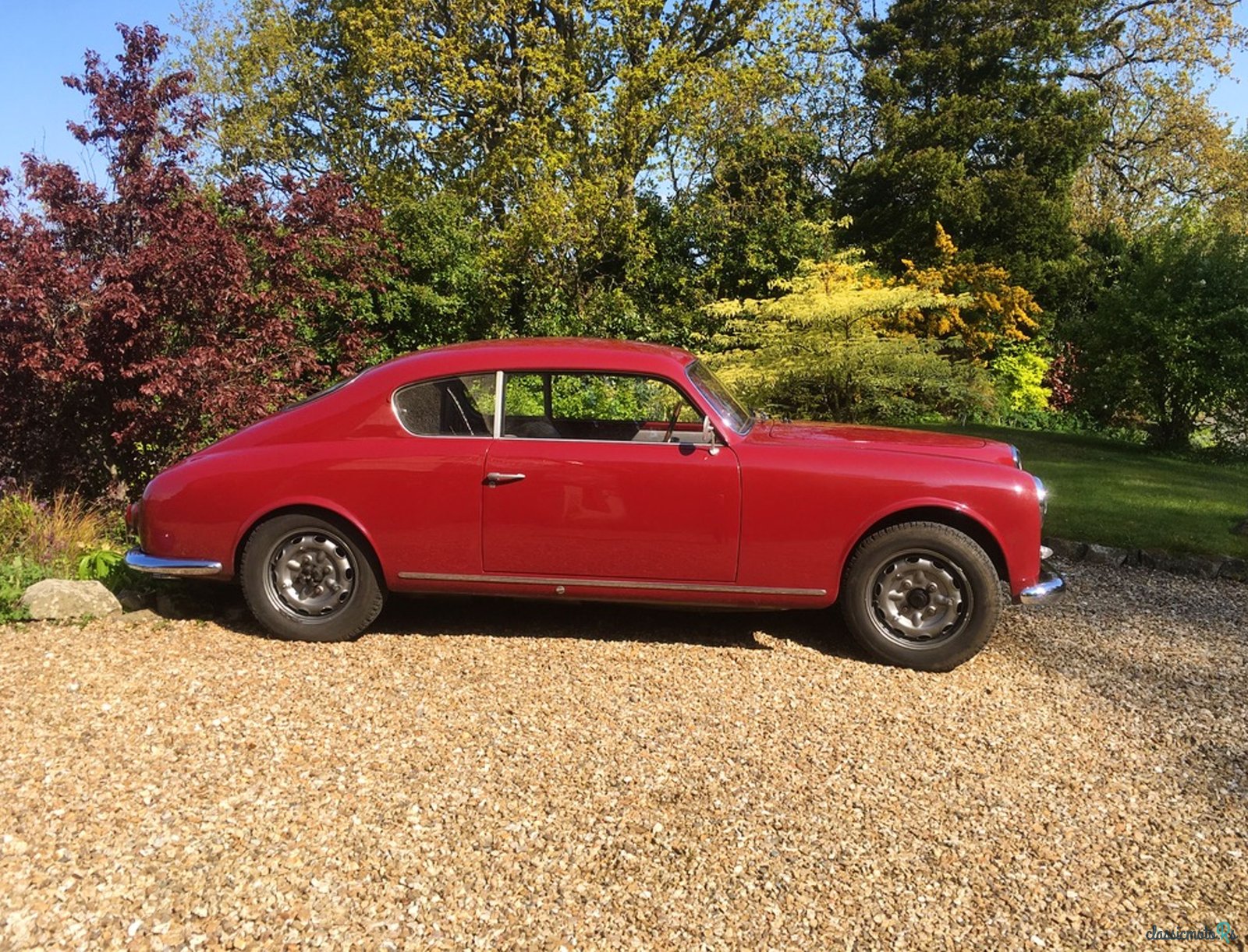 1953' Lancia Aurelia photo #2