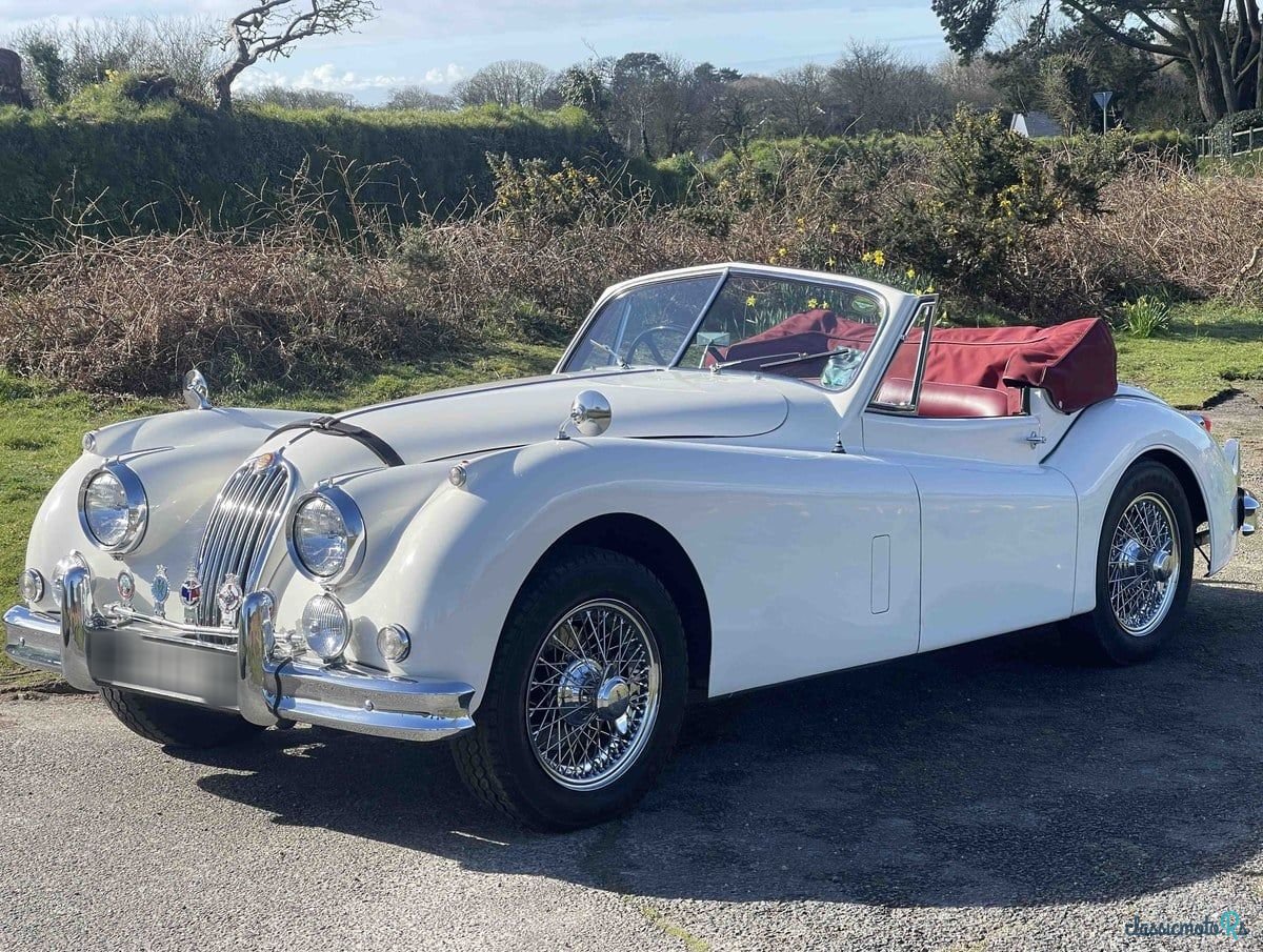 1955' Jaguar Xk140 photo #1