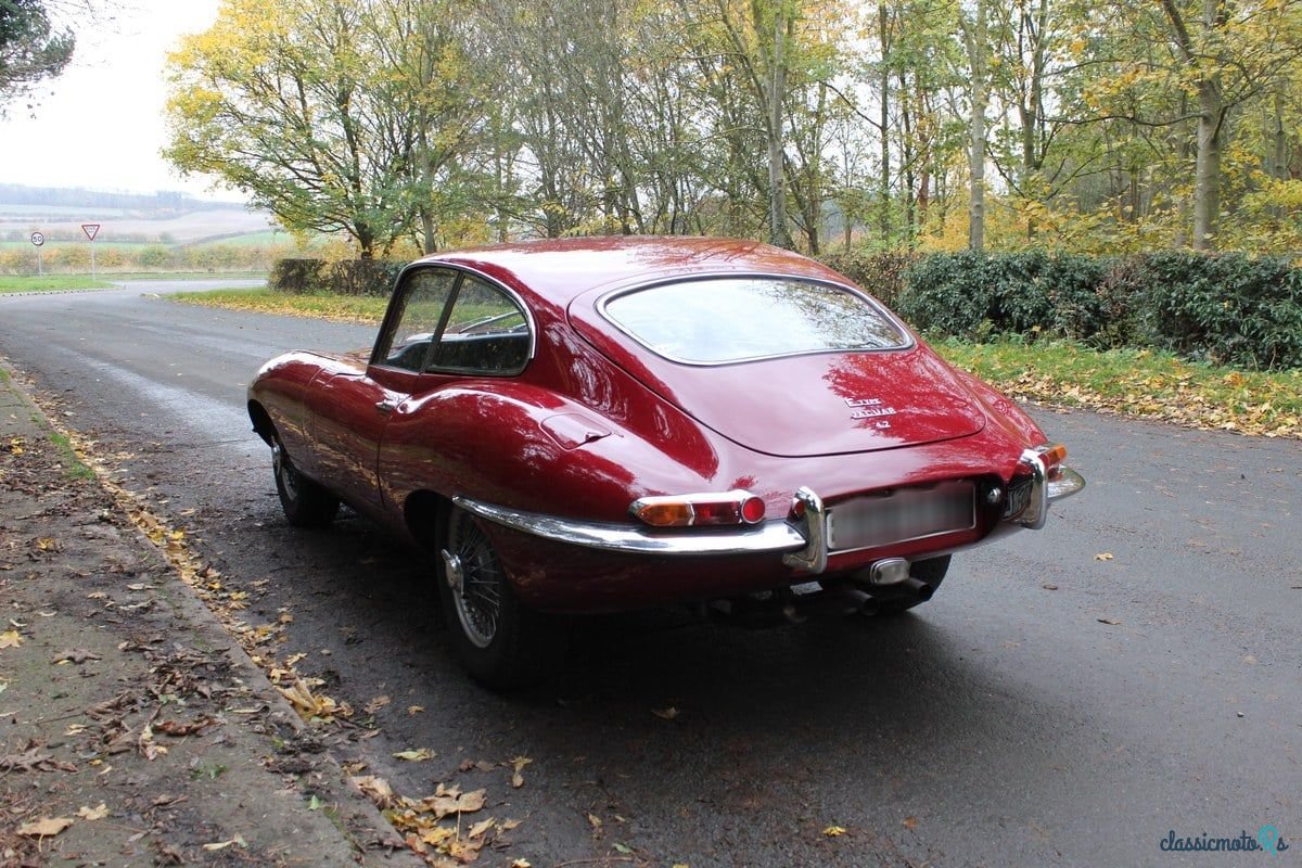 1968' Jaguar E-Type photo #4