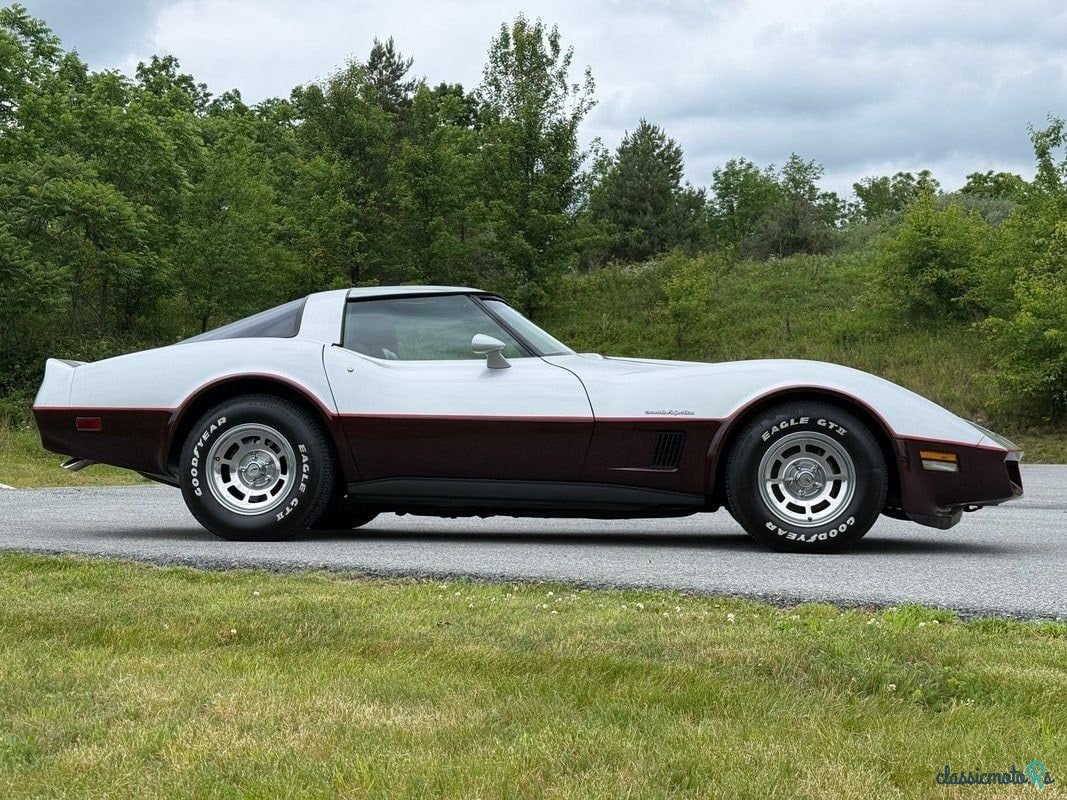 1982' Chevrolet Corvette photo #5