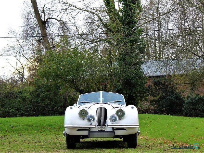 1953' Jaguar Xk120 photo #1