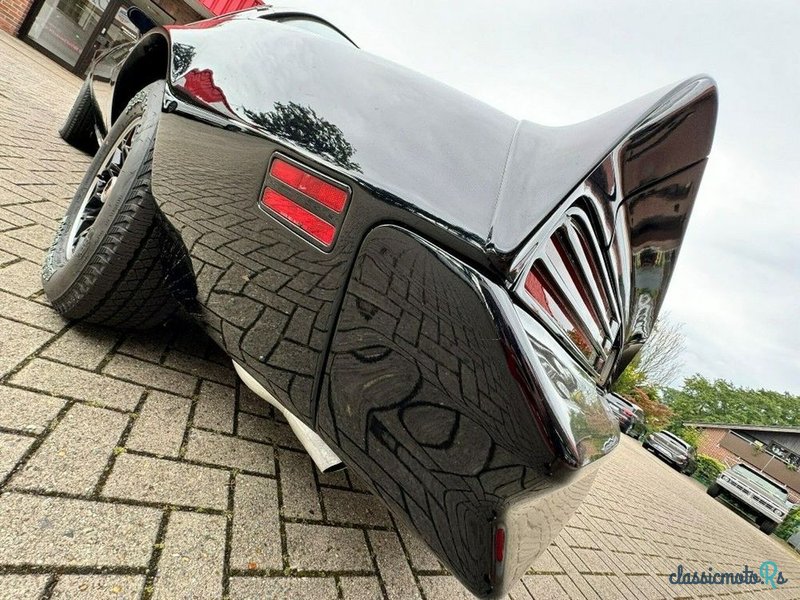 1978' Pontiac Firebird photo #6