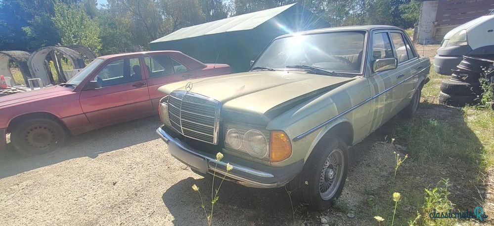 1979' Mercedes-Benz W123 photo #1