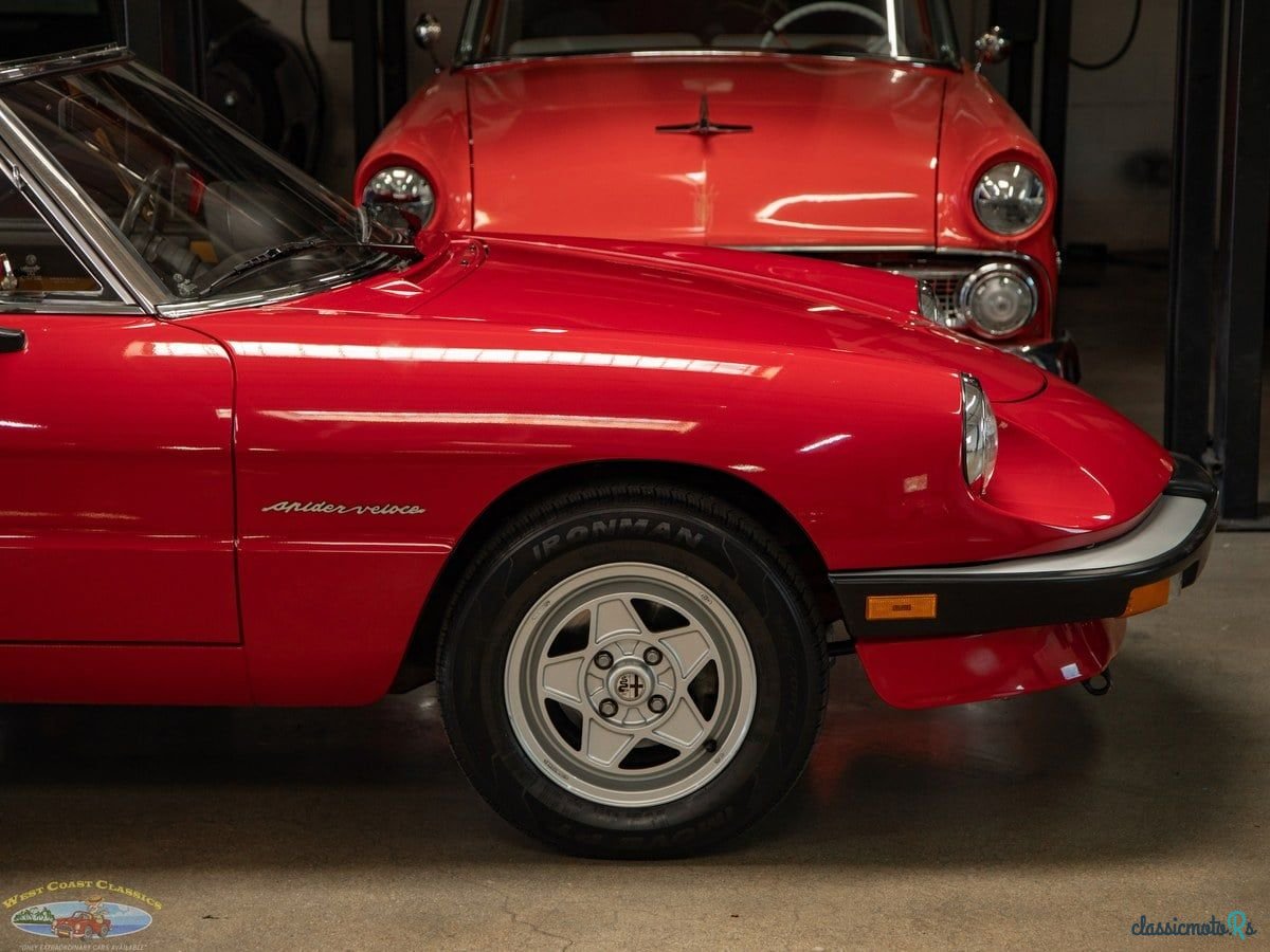 1989' Alfa Romeo Spider photo #3