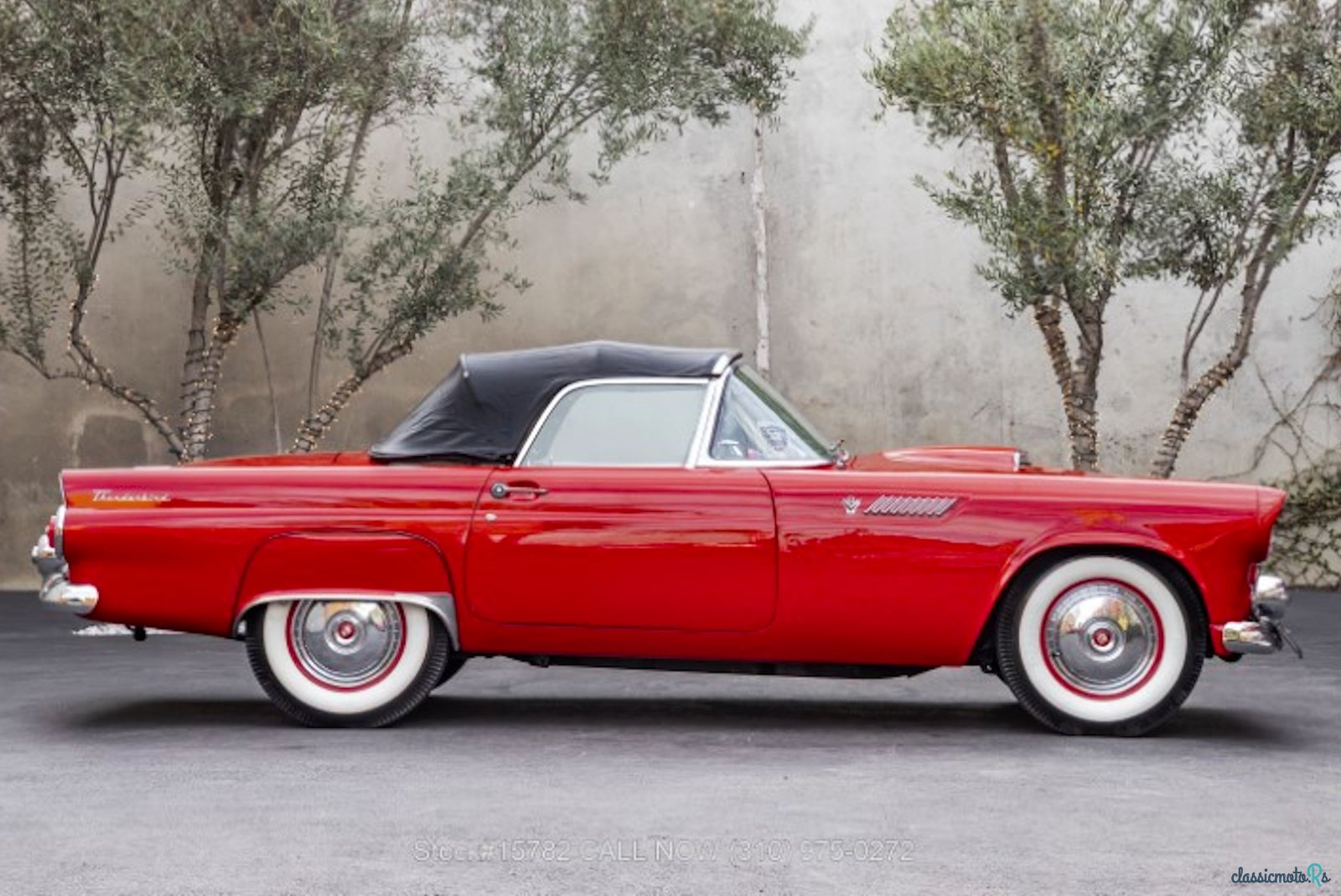 1955' Ford Thunderbird photo #5