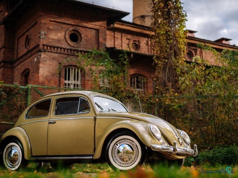 1956' Volkswagen Garbus photo #1