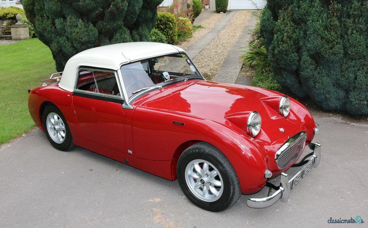 1959' Austin-Healey Sprite Mk1 Frogeye photo #3
