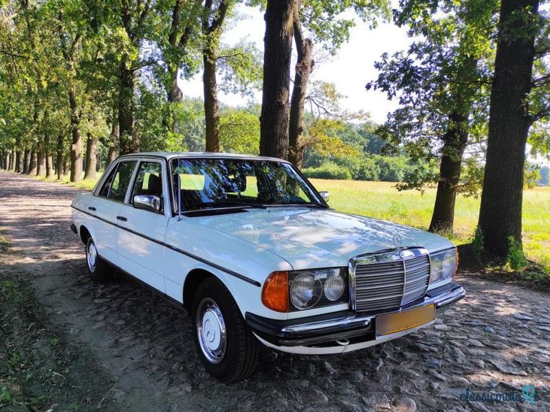 1979' Mercedes-Benz W123 photo #1