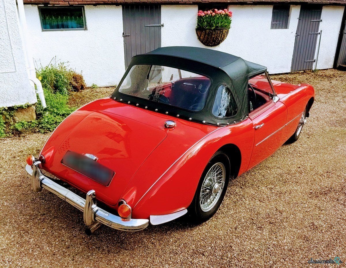 1954' Swallow Doretti photo #3