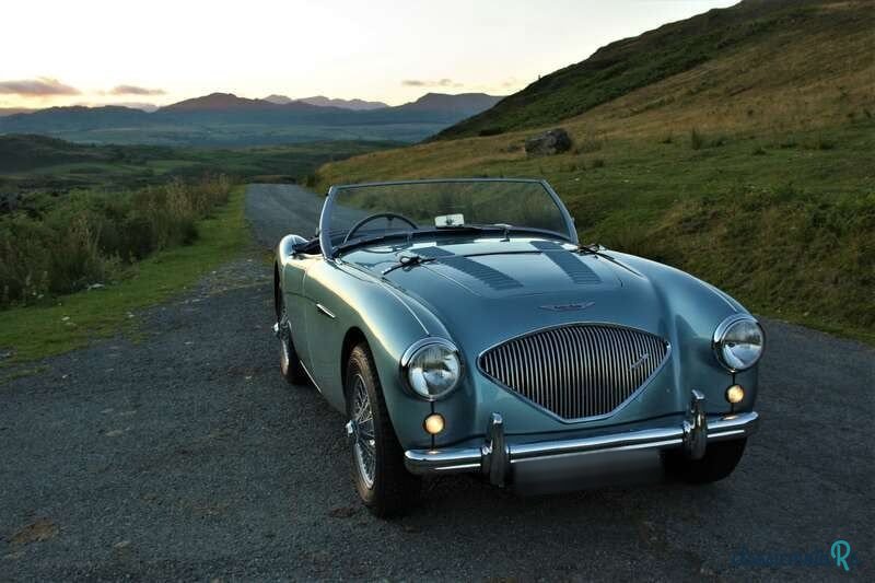 1953' Austin-Healey 100-4 photo #4