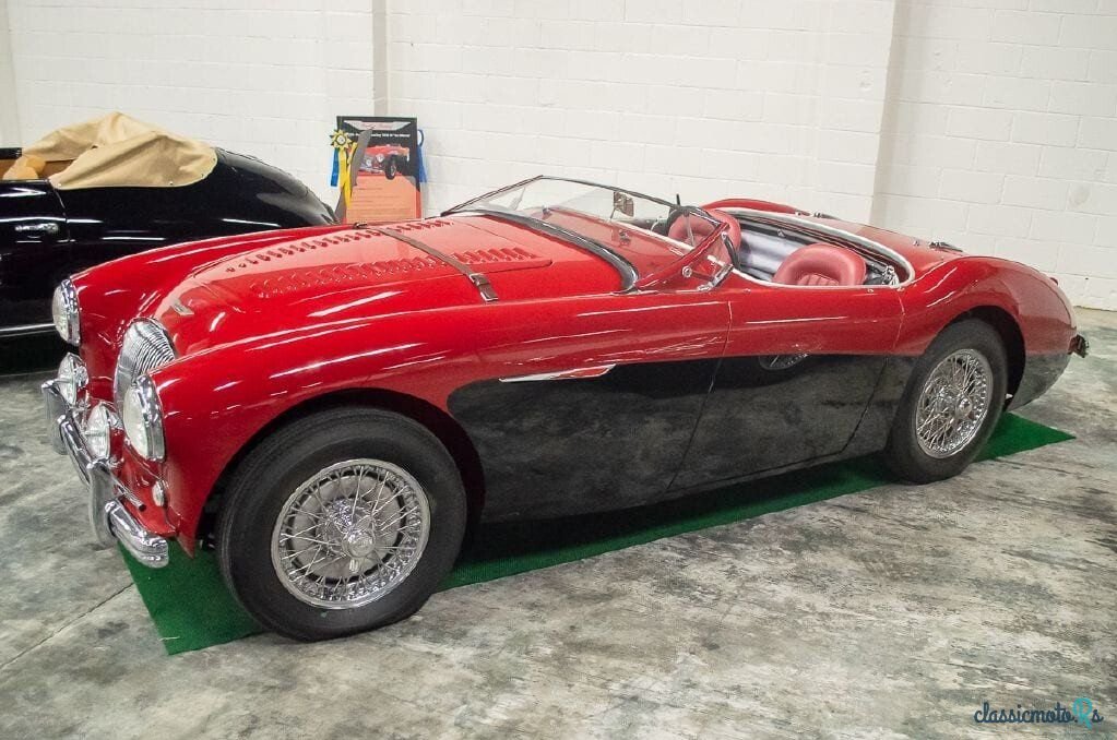 1956' Austin-Healey 100M photo #3