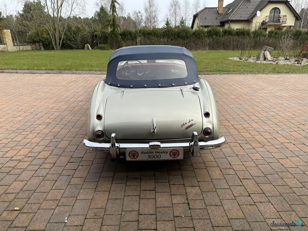 1960' Austin Healey photo #5