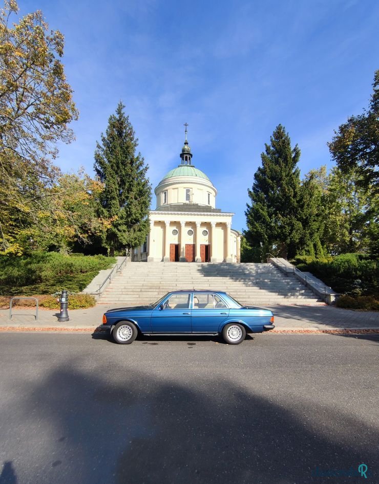 1977' Mercedes-Benz W123 photo #4