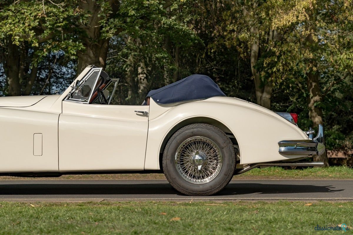 1955' Jaguar C-Type photo #4