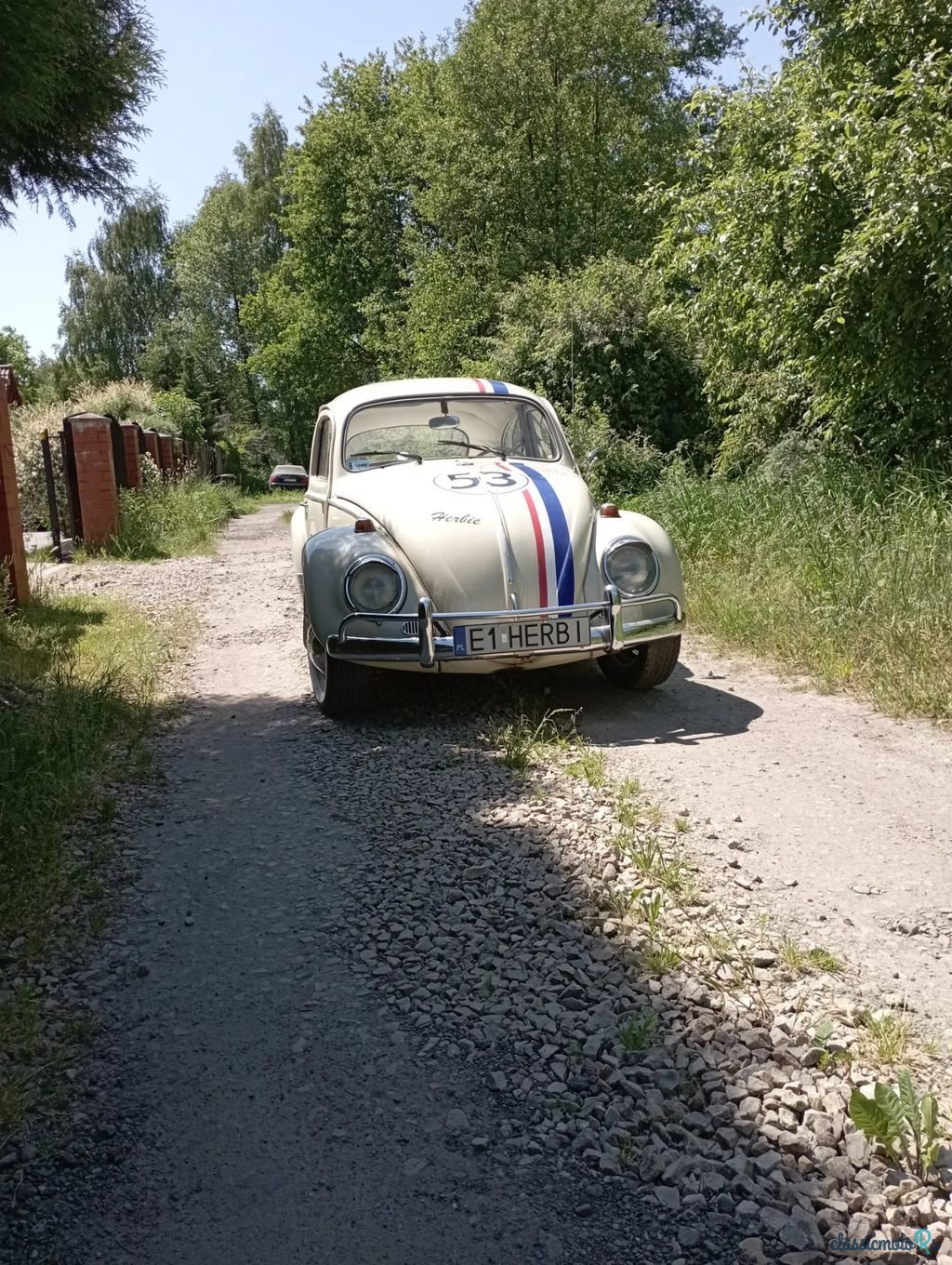 1966' Volkswagen Garbus photo #1