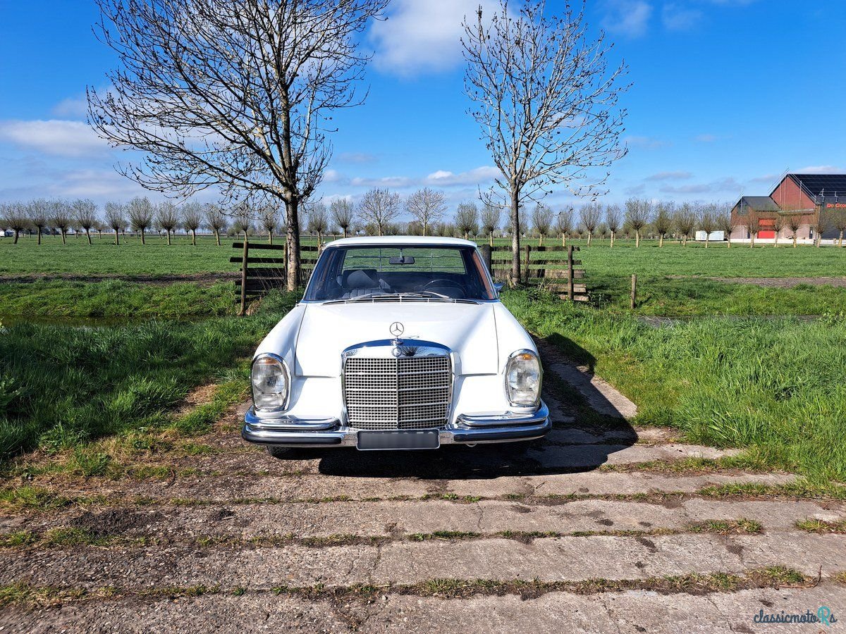 1968' Mercedes-Benz 280 photo #2