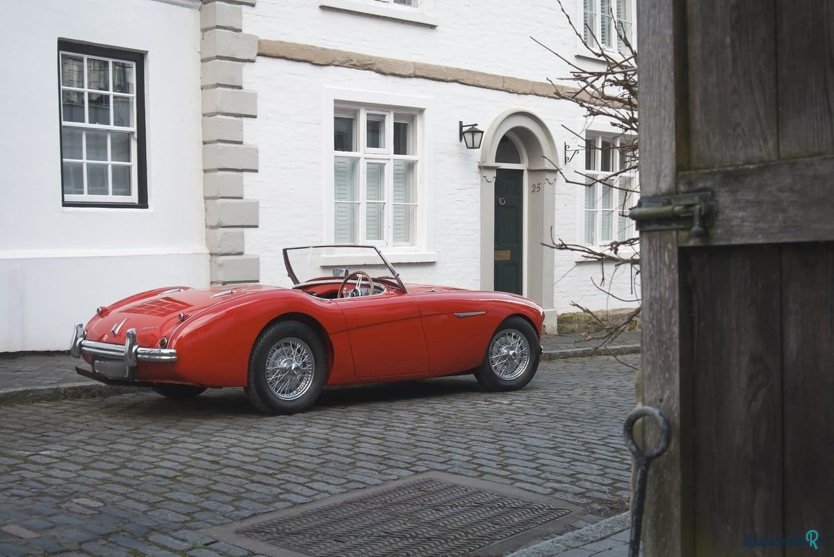 1955' Austin-Healey 100/4 photo #3