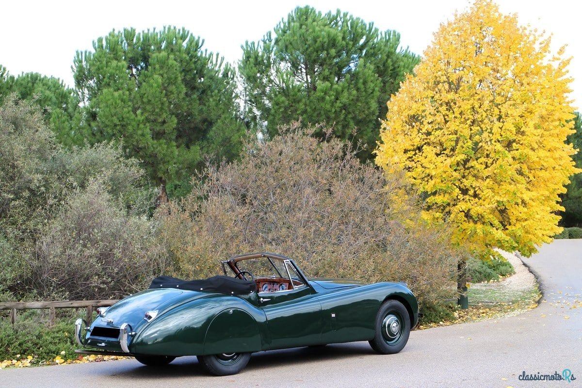 1953' Jaguar Xk120 photo #2