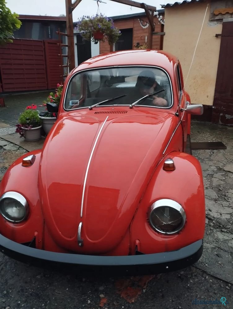 1967' Volkswagen Garbus photo #1