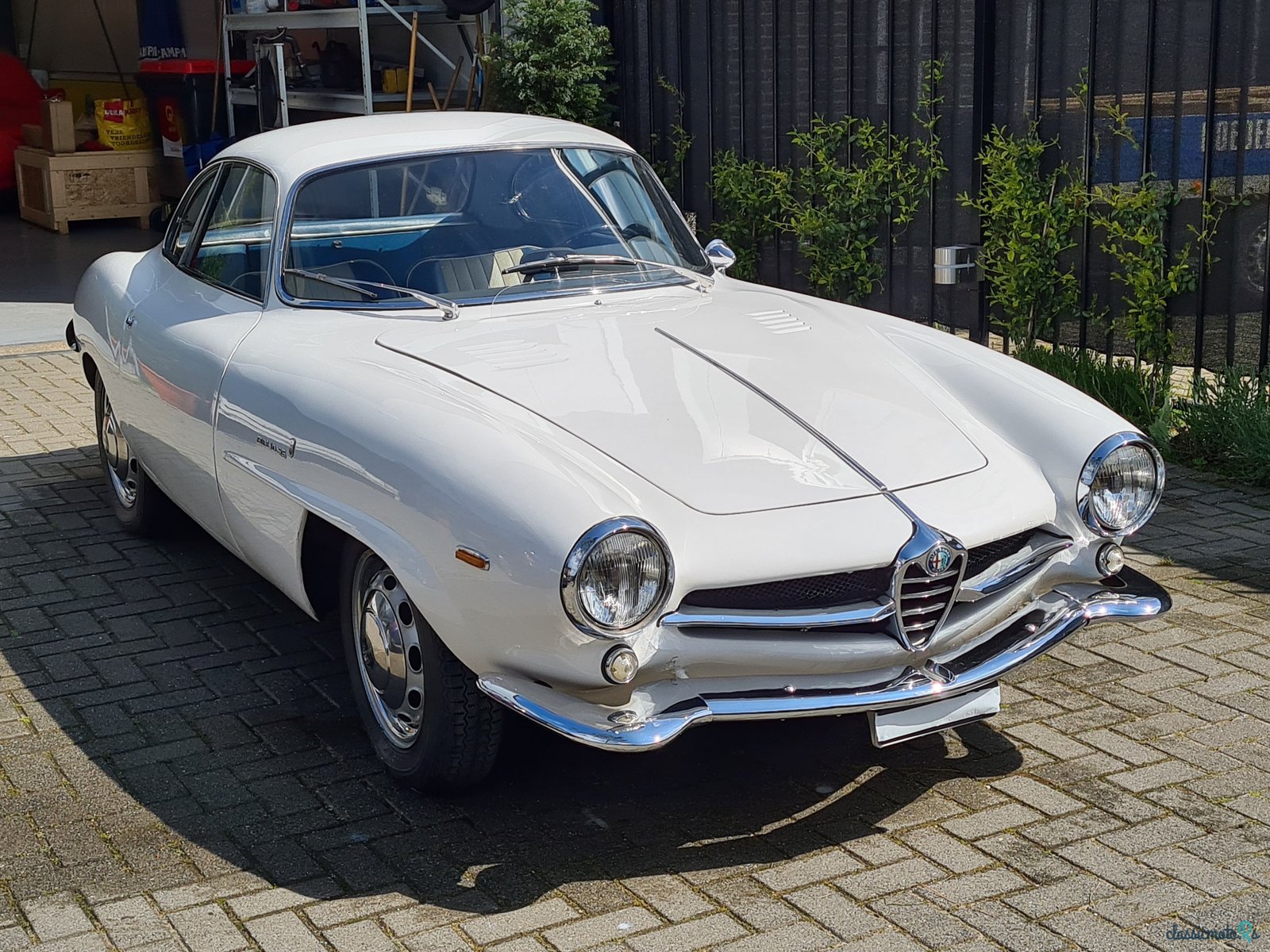 1963' Alfa Romeo Giulia photo #1