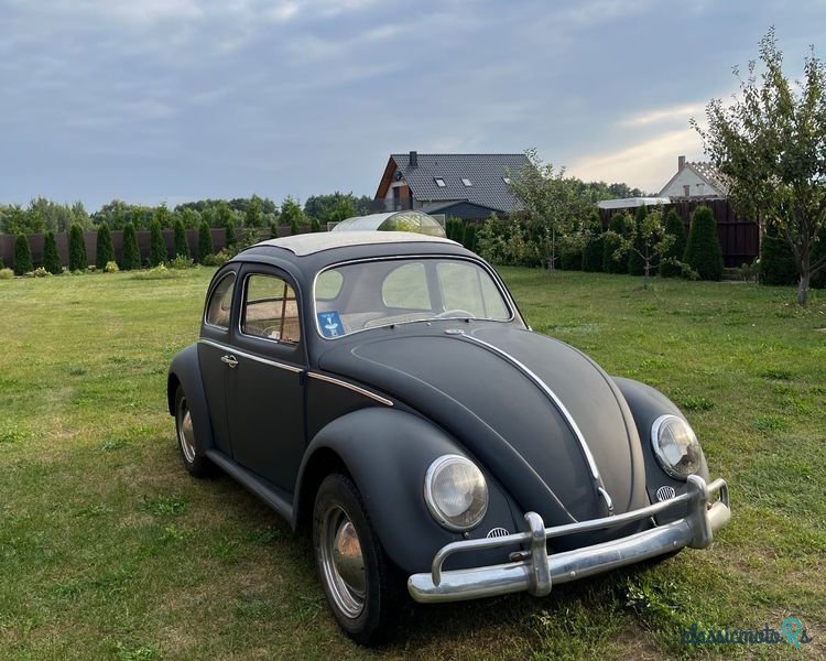 1962' Volkswagen Garbus photo #3