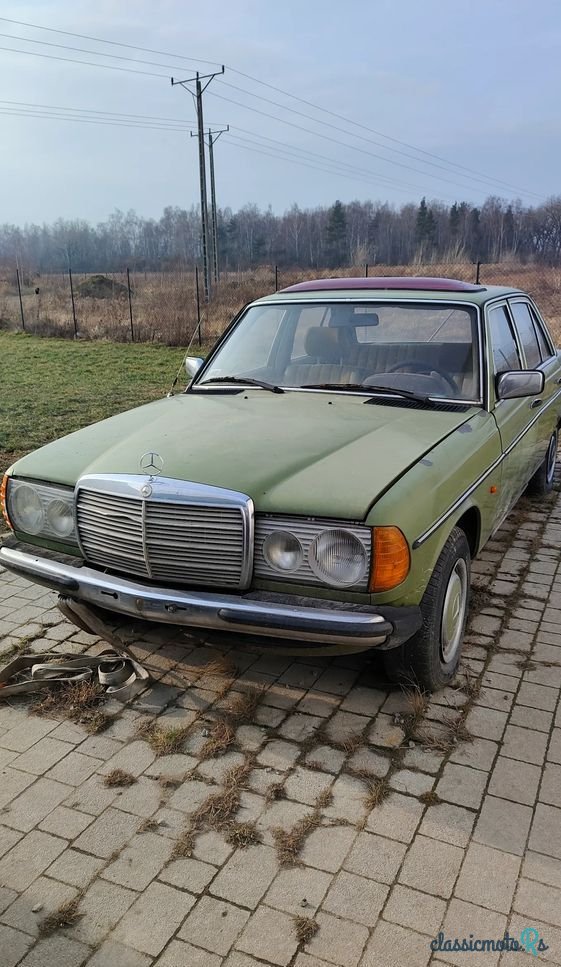 1973' Mercedes-Benz 123 photo #1