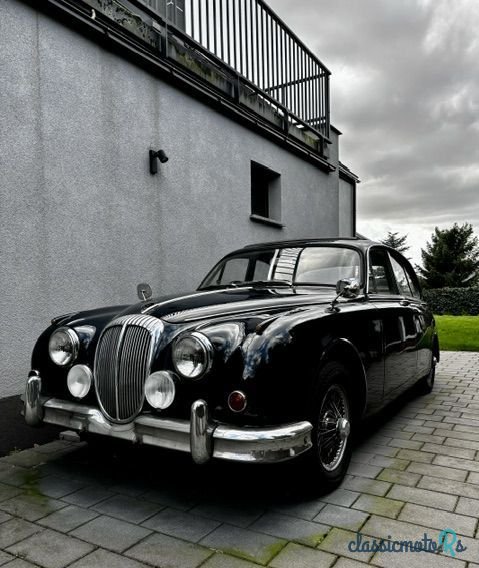 1964' Jaguar Daimler photo #2