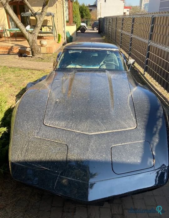 1973' Chevrolet Corvette photo #2