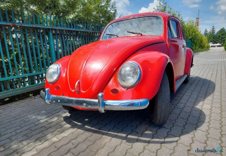 1959' Volkswagen Garbus photo #2