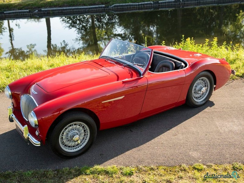 1955' Austin-Healey 100/4 photo #2