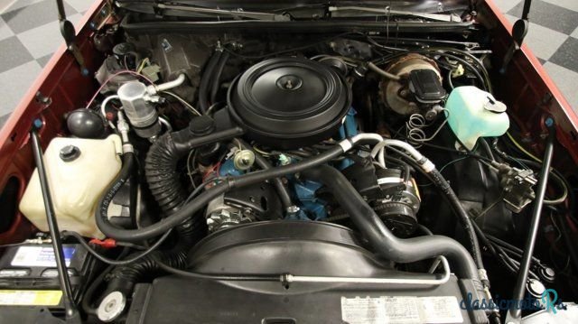 1979' Oldsmobile Cutlass photo #2