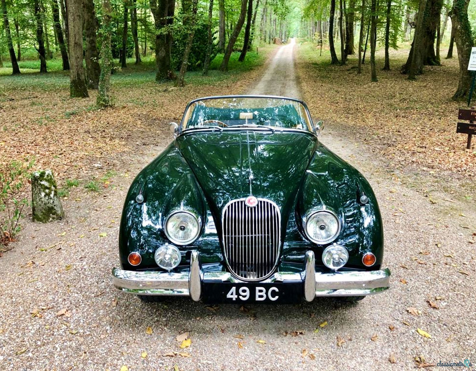 1959' Jaguar Xk150 photo #3