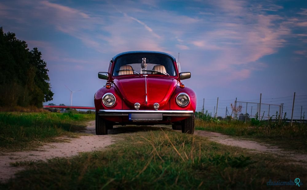 1974' Volkswagen Garbus photo #6
