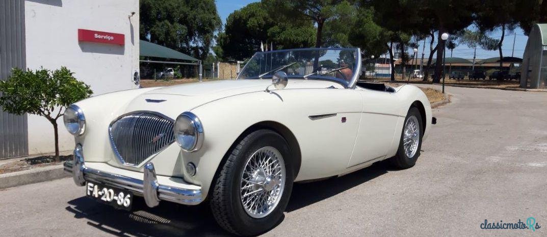 1953' Austin-Healey 3000 photo #1