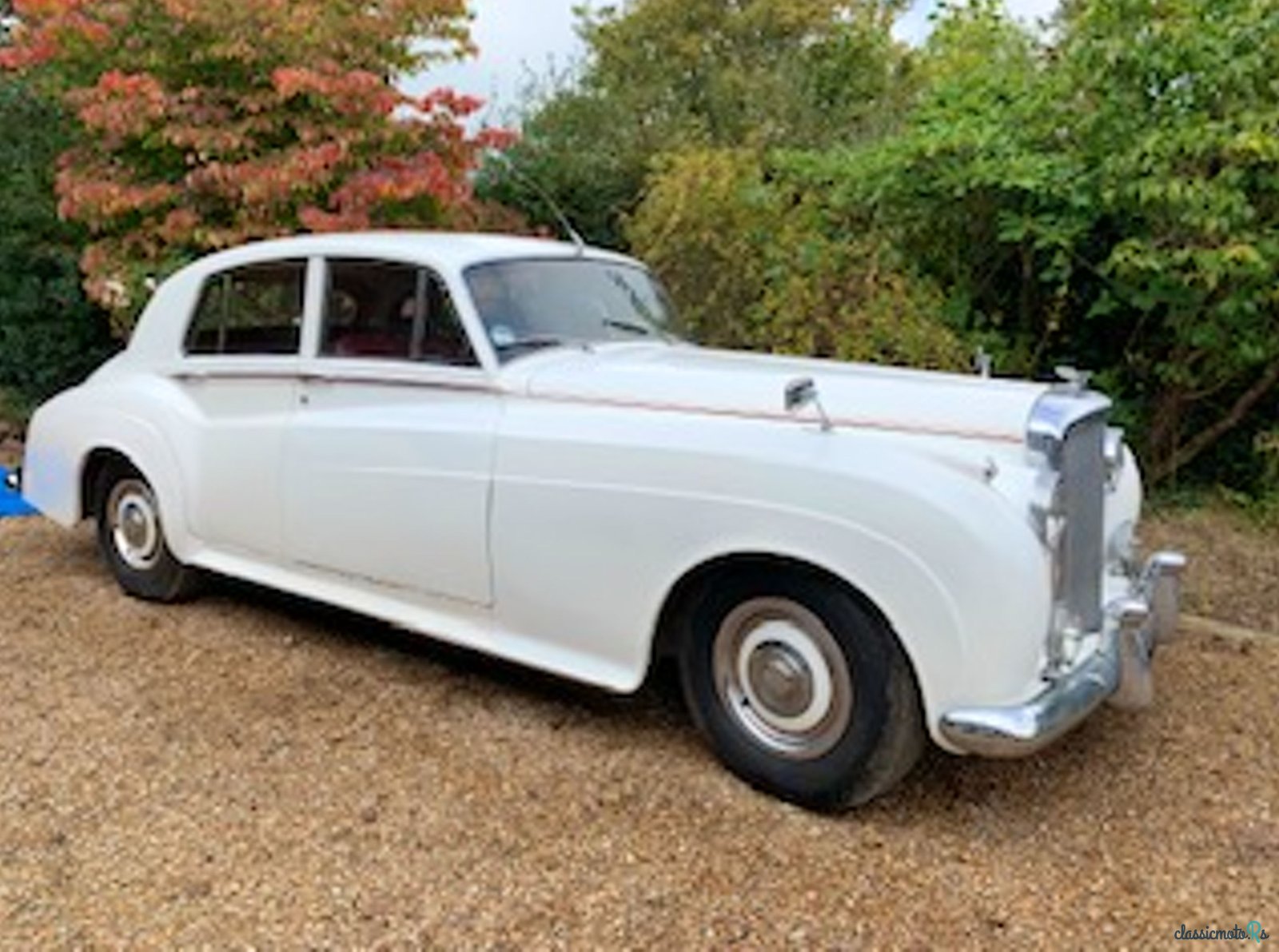 1955' Bentley Si photo #3