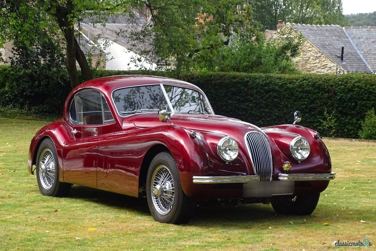 1953' Jaguar XK photo #1