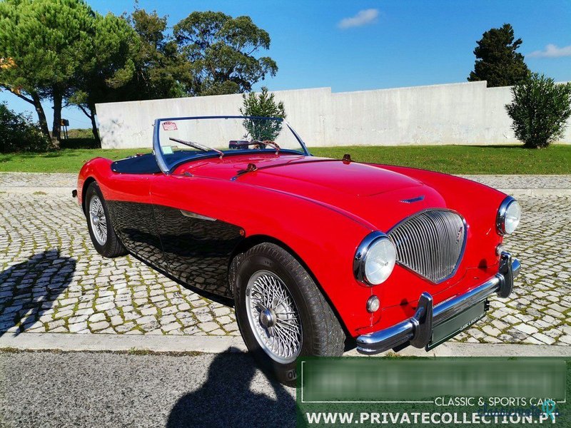 1955' Austin-Healey 100 photo #1