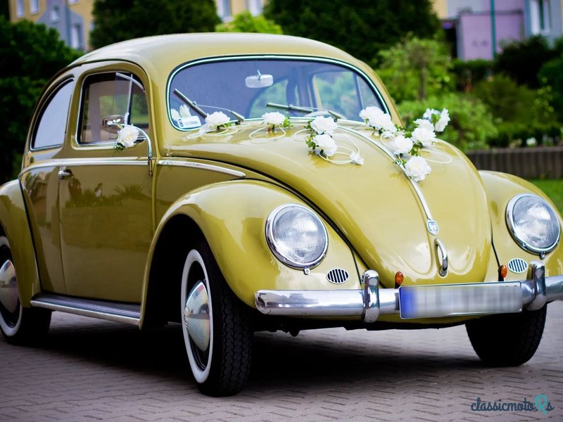 1956' Volkswagen Garbus photo #3